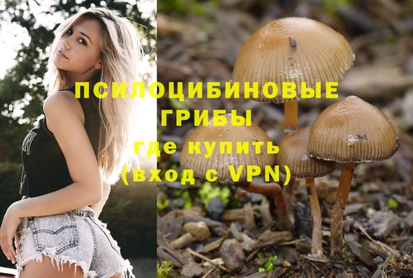 ешки Бугульма