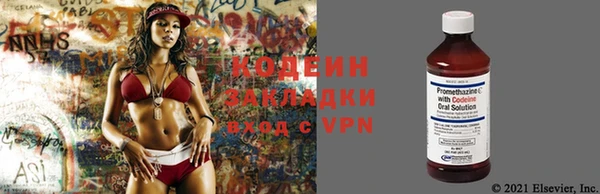 амф Верея