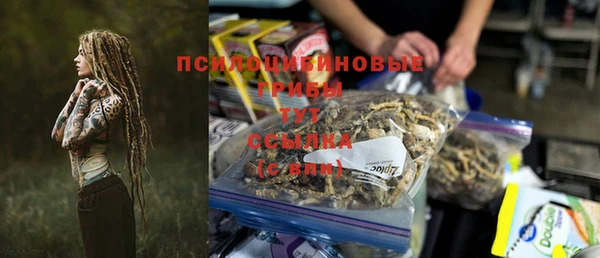 ПСИЛОЦИБИНОВЫЕ ГРИБЫ Волоколамск